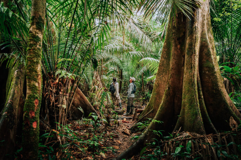 Pacaya Samiria – Inmersión en la Selva – 1.foto principal