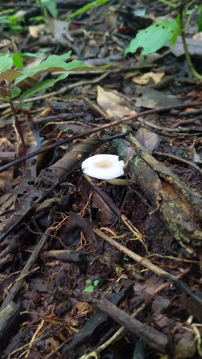 biodiversidad-08