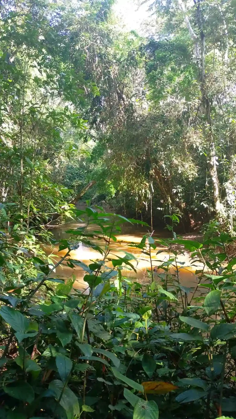 biodiversidad-11