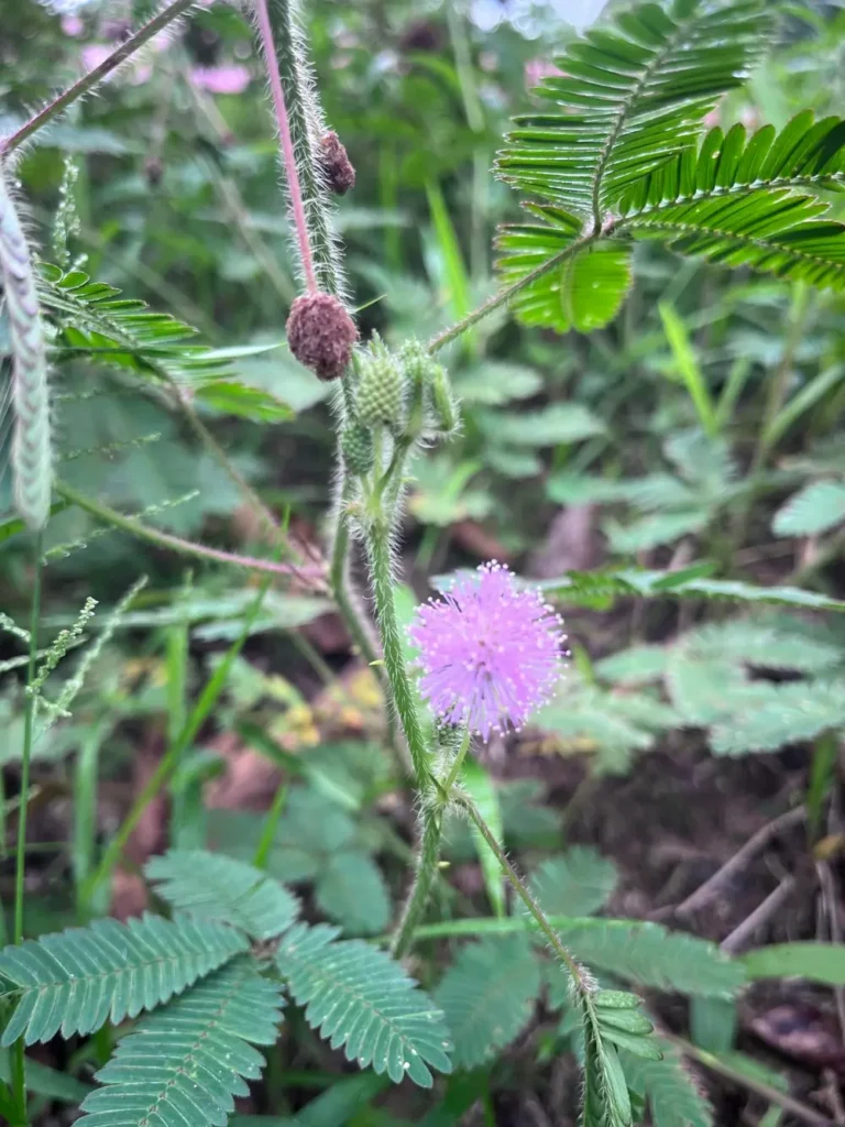 biodiversidad-16