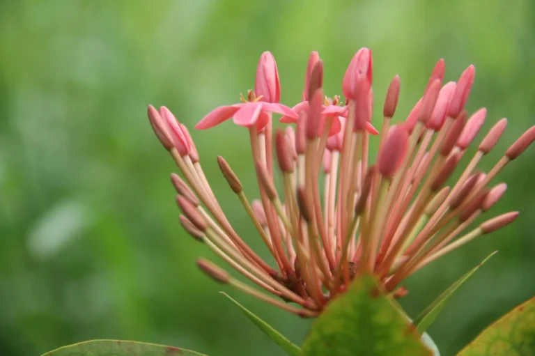 biodiversidad-20