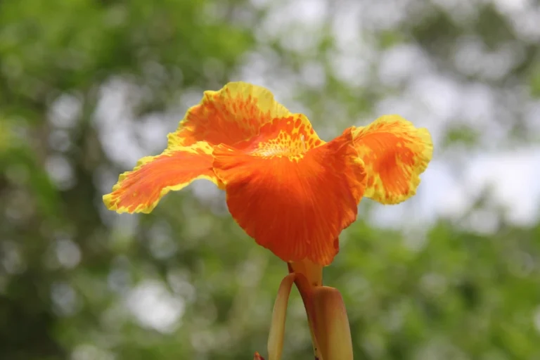 biodiversidad-48