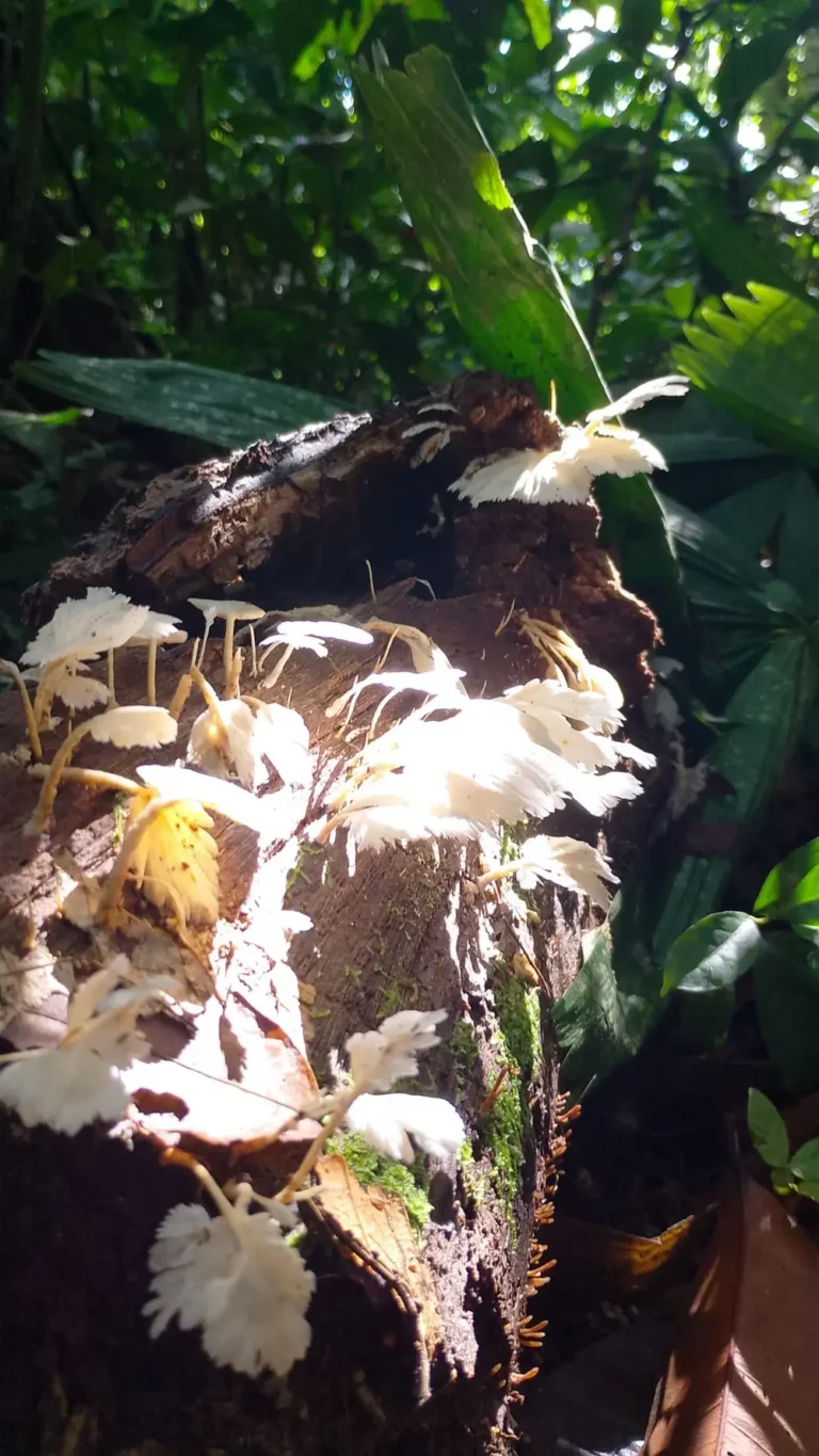 biodiversidad-67